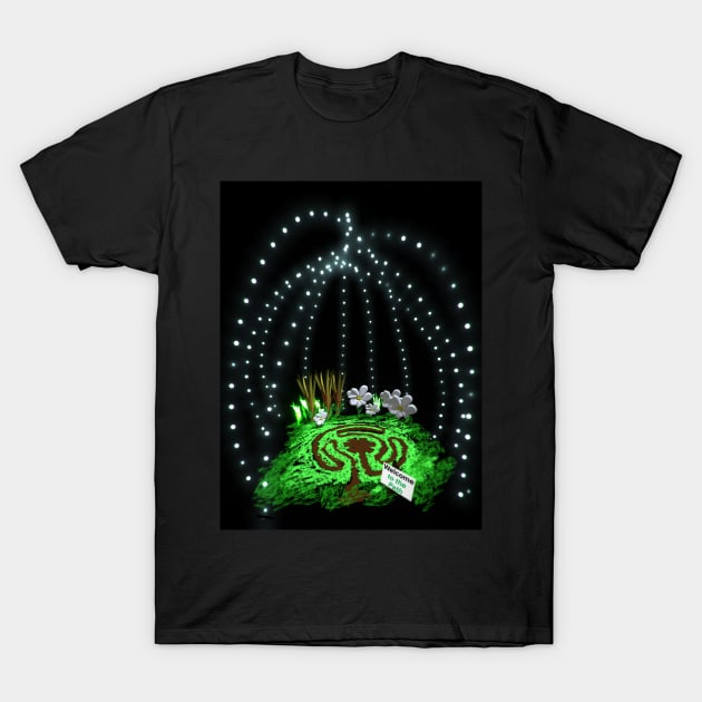 You Are the Light of the World T-Shirt by Bill Ressl at Center To Awaken Kindness